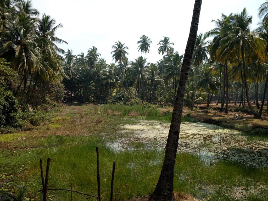 Raikar
